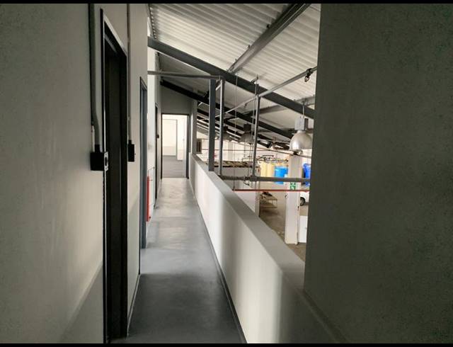 INDUSTRIAL PROPERTY TO RENT IN PAARDEN EILAND